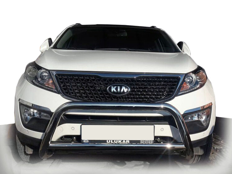 kia_sportage_2010_front_guard_a_bar.jpg